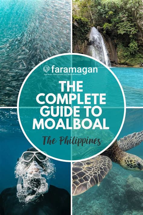 Moalboal Itinerary: The Best Things To Do, Eat & See .